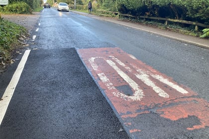 Council promises to finish job after sketchy painting on Liss road 