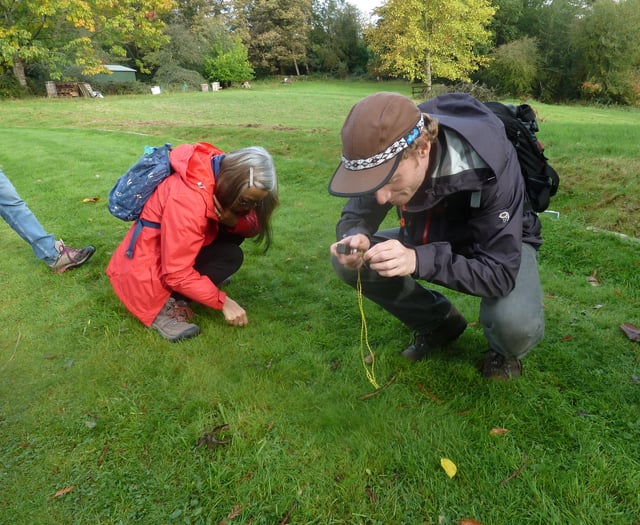 Haslemere Museum celebrates National Moss Day this October