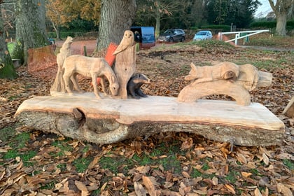 VIDEO: Incredible woodland scene carved into bench in Frensham