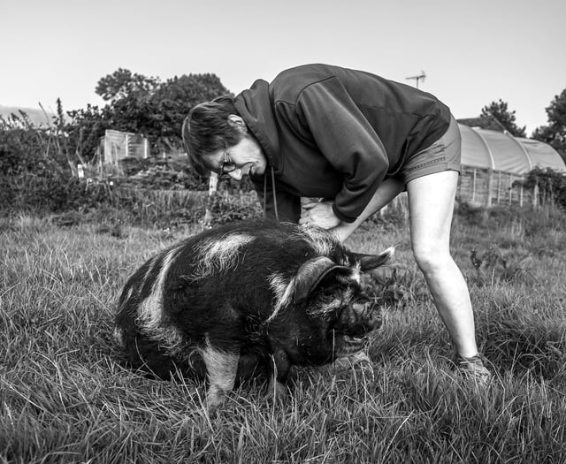 Portraits of Contemporary Farming Life coming to Rural Life museum