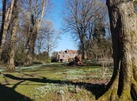 Chawton House hosts second Snowdrop Spectacular on Sunday 