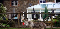 Last eeyorders: The Donkey pub in Elstead announces permanent closure