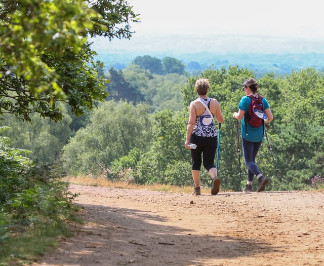 Register now for a summer walk – or run – for Phyllis Tuckwell