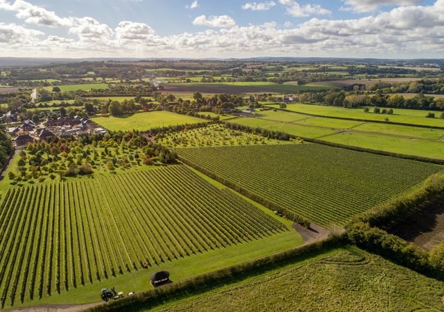 Rail to Trail Walking Festival launched in East Hampshire and Surrey