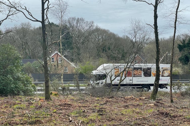 Neighbours and users of Bramshott Chase have complained tree and shrub clearance by the National Trust has exposed the local beauty spot to the constant rumbles, light and air pollution of the A3