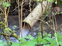 More sewage discharged into the River Wey