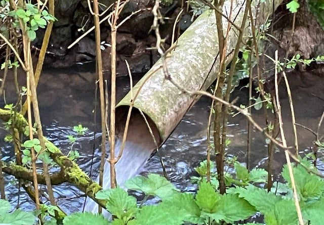 A raw sewage discharge at Buriton