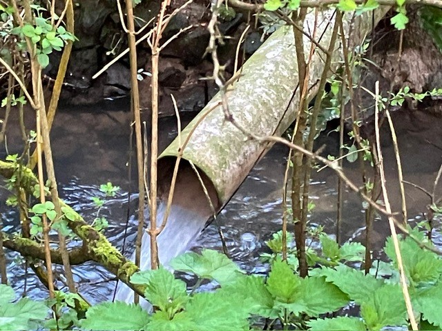 A raw sewage discharge at Buriton