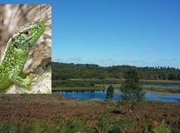 There's never been a better time to discover the secrets of our heaths