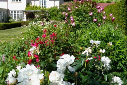Your guide to Bramshott Open Gardens