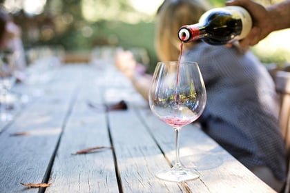 What's on at Surrey wine festival