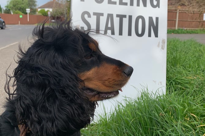 Scout outside a polling station Molesey
