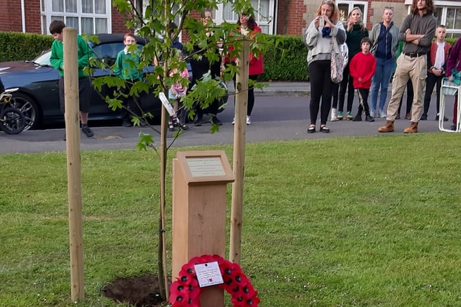 The D-Day memorial tree was planted on the village green