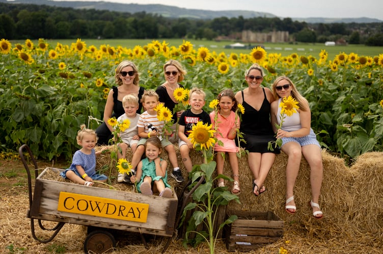 Cowdray's Maize Maze 2023