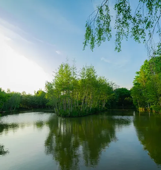 Heron Pond, Goose Green