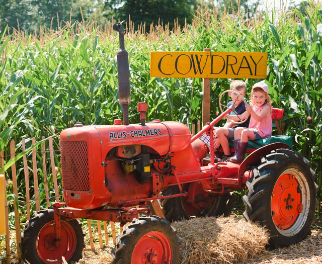 Cowdray’s Maize Maze: A must-visit summer attraction