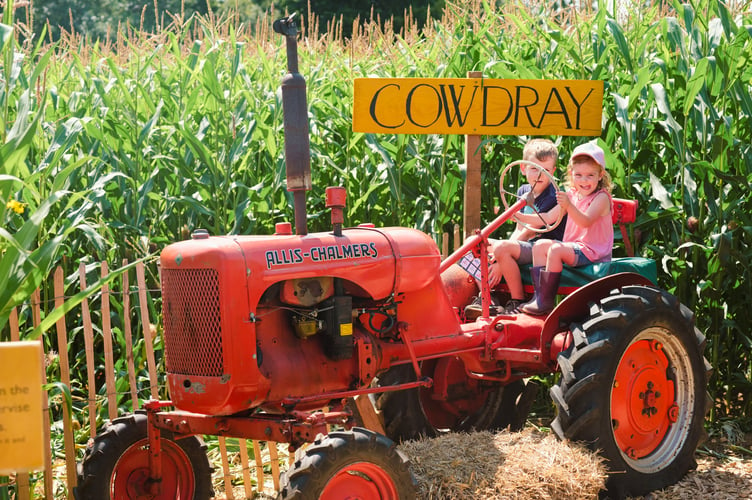 Children enjoy everything that Cowdray's Maize Maze has to offer 2024