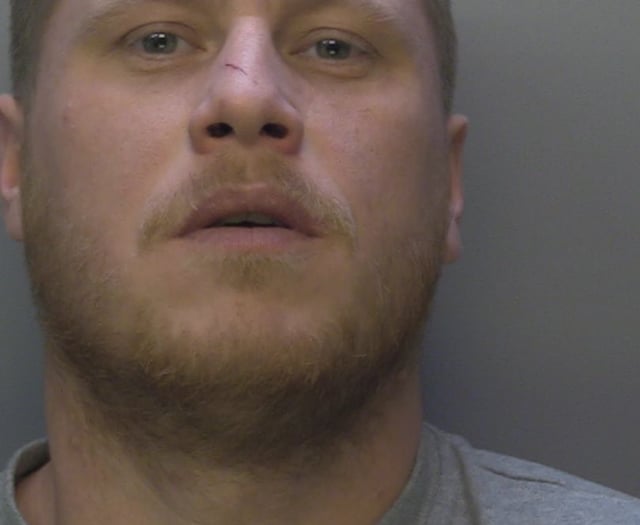 Two men locked up for spree of violent burglaries and store raids