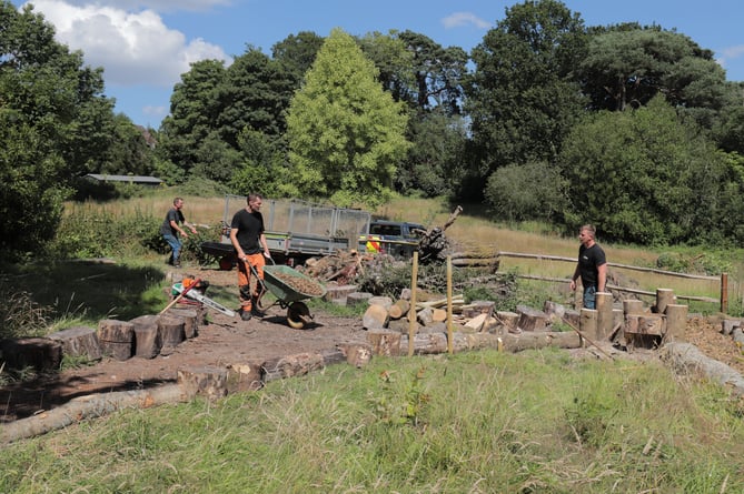 Transform Landscapes building the new sensory garden at Haslemere Museum