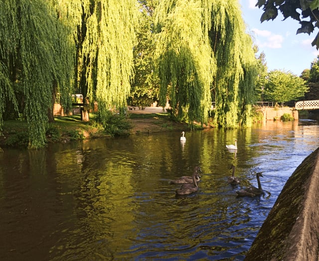 Flood warnings issued across Surrey and Hampshire