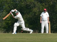 Brewer hits half-century but Waverley slip to defeat