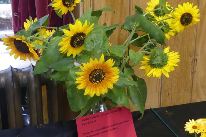 Frensham Dockenfield Horticultural Show PIC4