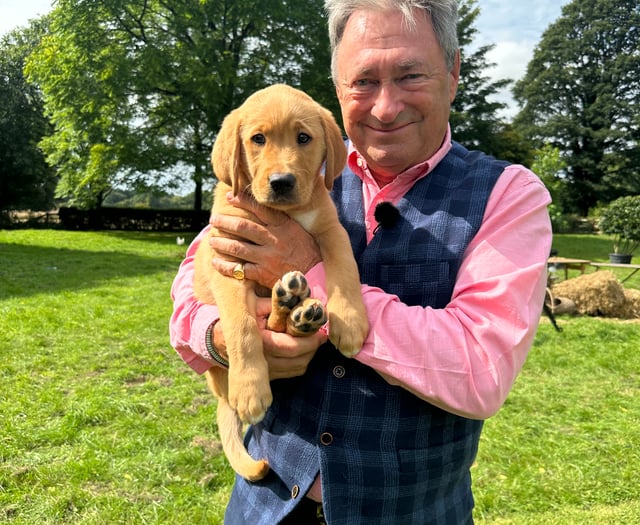 Alton puppy Titch joins Alan Titchmarsh for second TV appearance