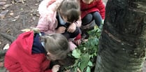 Fernhurst Primary pupils get hands-on with den building in the woods