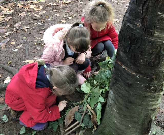 Fernhurst Primary pupils get hands-on with den building in the woods