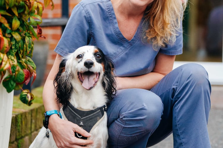 Lily with vet Ruth Brownlee