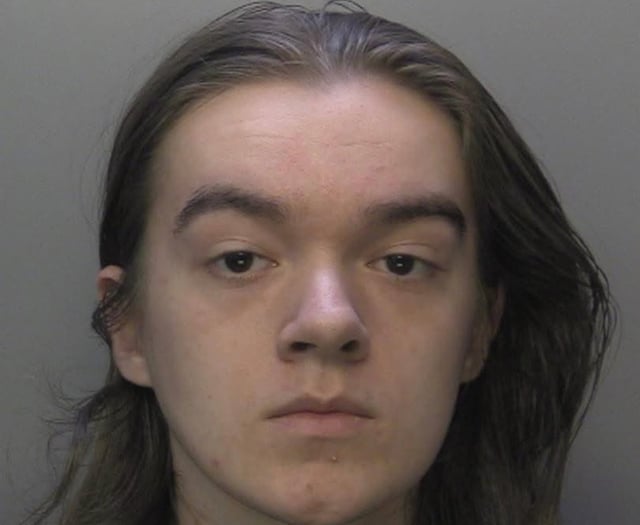 Man jailed for three years for grooming boys online using fake profile