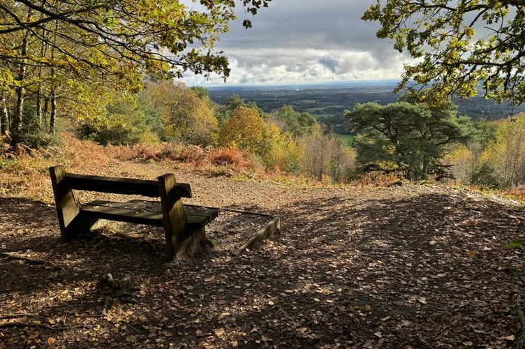 Sarah Stansbury Hindhead Viewpoint